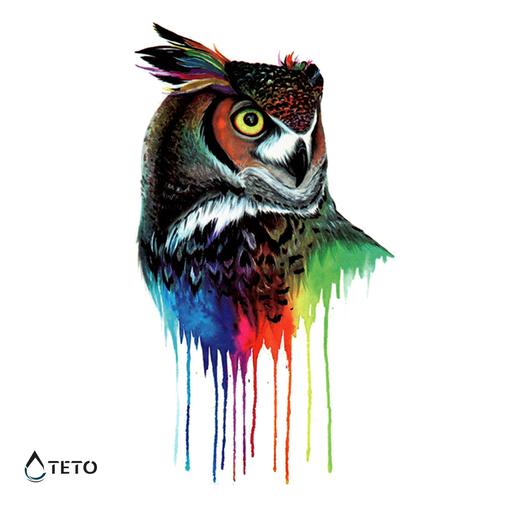 Mavrična sova - TETO Začasne Tetovaže