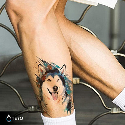 Husky pes - TETO Začasne Tetovaže
