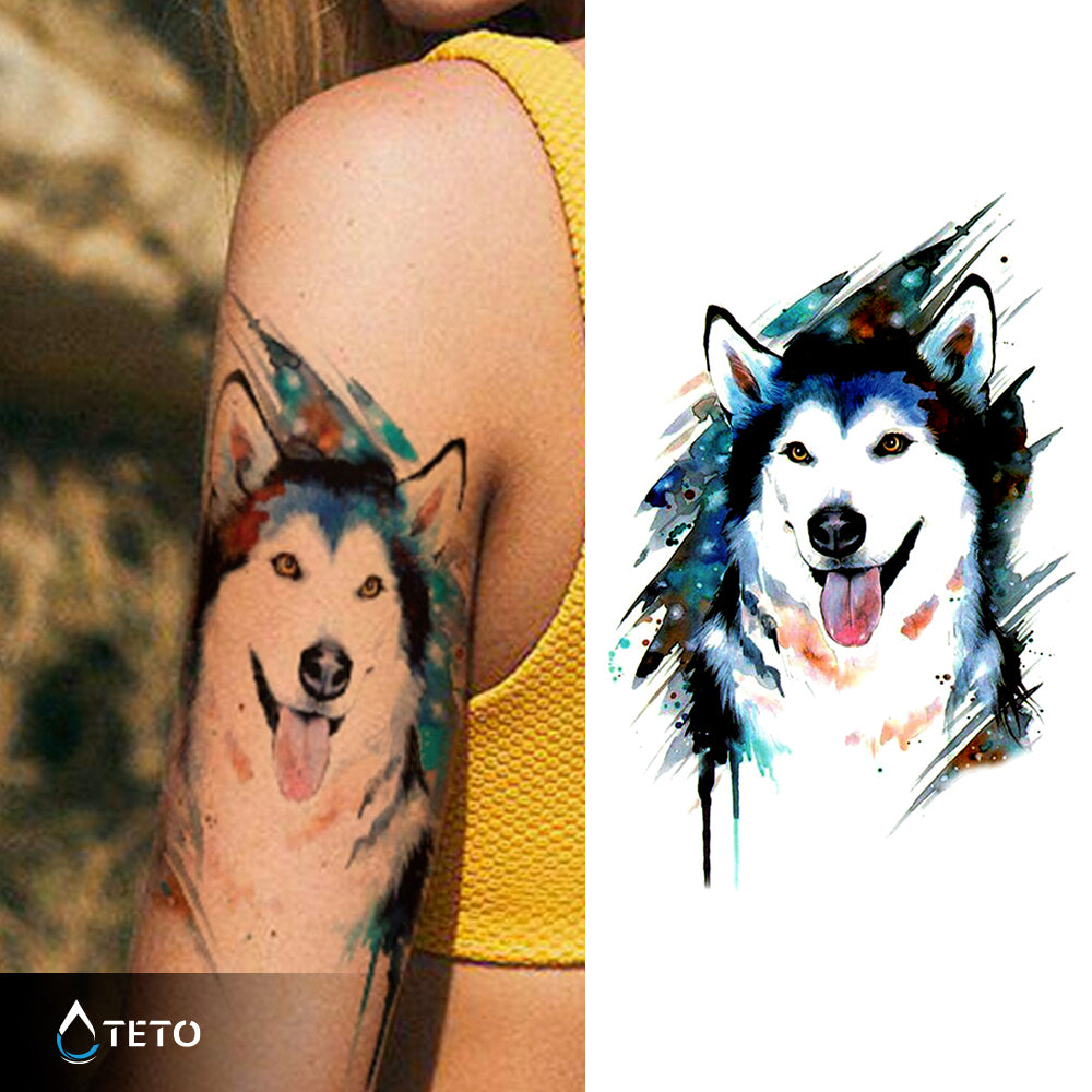 Husky pes - TETO Začasne Tetovaže