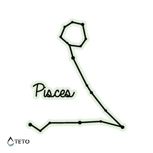 Znamenje ribi - Sveti v temi - TETO Začasne Tetovaže