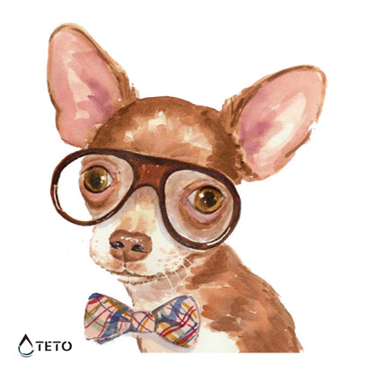 Čivava - TETO Začasne Tetovaže