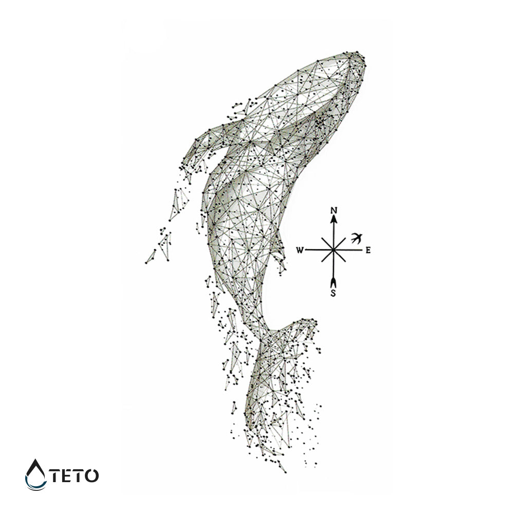 Kit in kompas - TETO Začasne Tetovaže