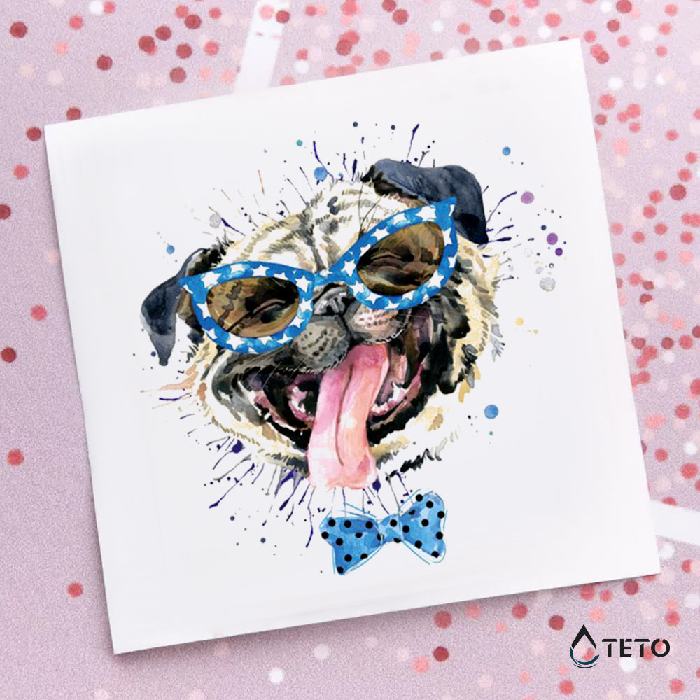 Mops carlino - TETO Začasne Tetovaže