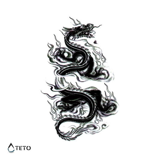 Kitajski zmaj – Tip B - TETO Začasne Tetovaže