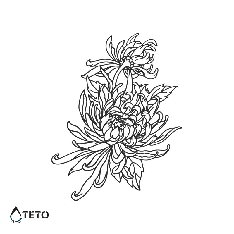 Krizantema – Poltrajne - TETO Začasne Tetovaže