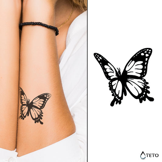 Metulj – Poltrajne